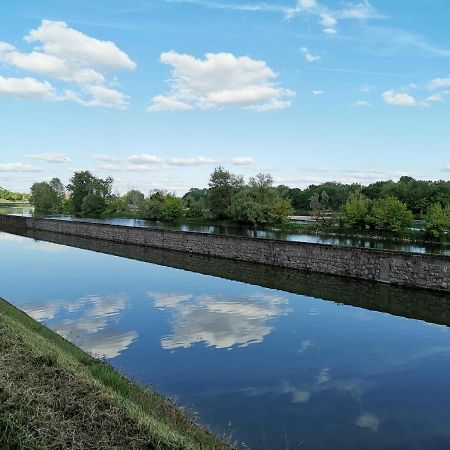 Appartement Hyper Centre Au Bord De Loire أورلييو المظهر الخارجي الصورة