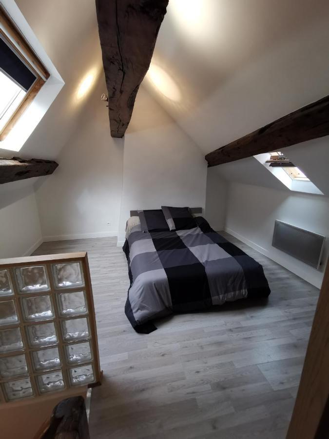 Appartement Hyper Centre Au Bord De Loire أورلييو المظهر الخارجي الصورة