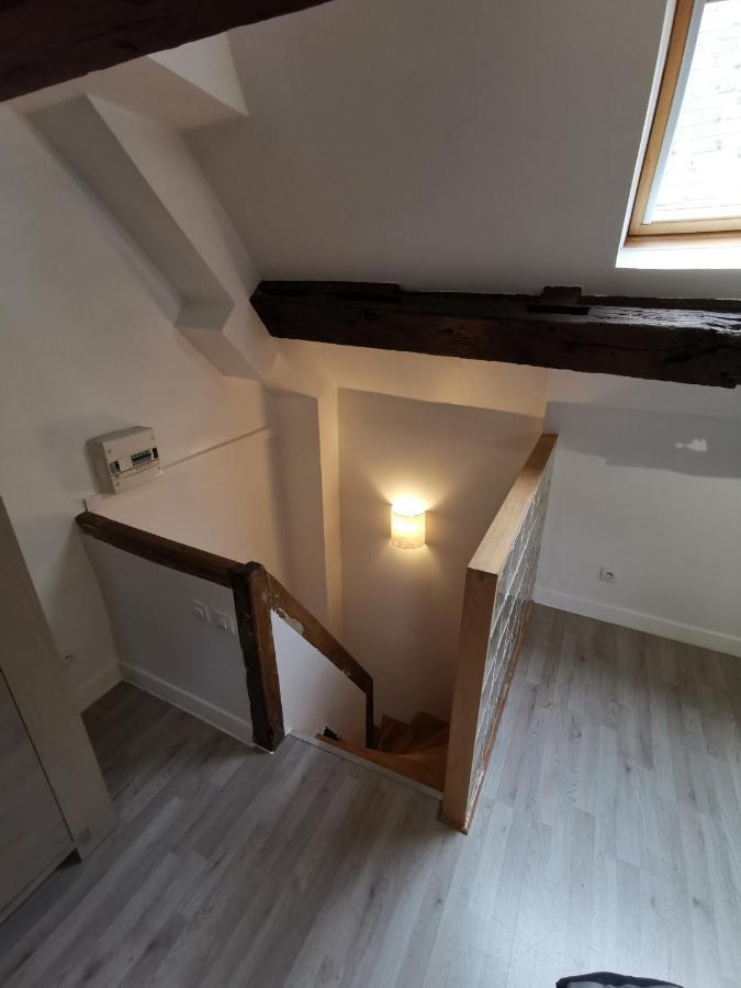 Appartement Hyper Centre Au Bord De Loire أورلييو المظهر الخارجي الصورة